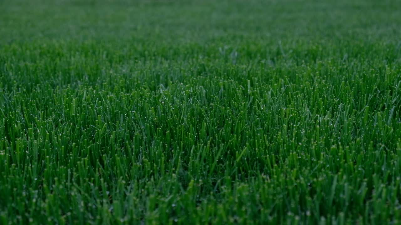 自动花园草坪浇灌系统。可调节喷头可节省喷灌系统的用水。自动化草坪灌溉，园艺，足球场或高尔夫球场。