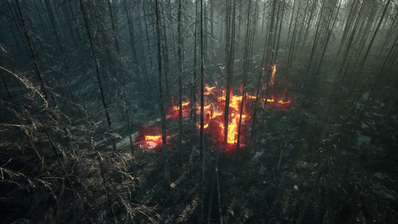 詳情圖-原始森林著火了