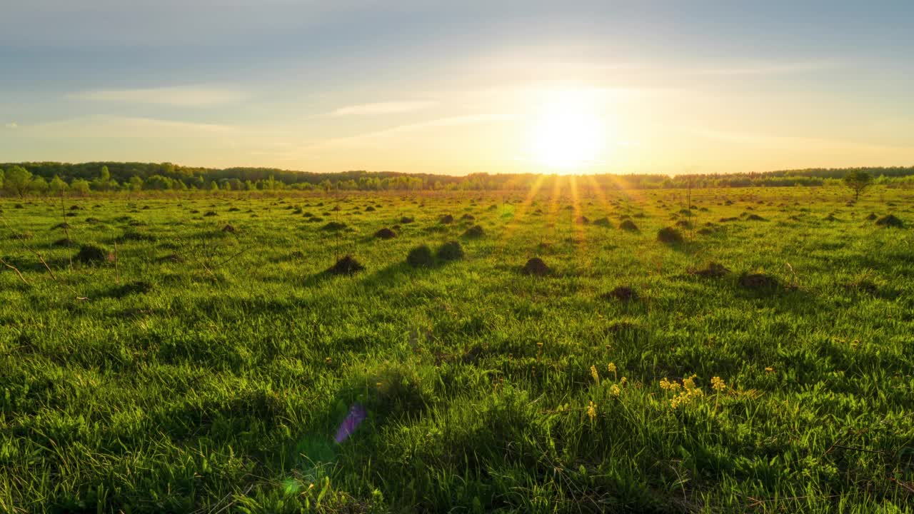 夕阳在草地上缓缓落下。4k分辨率的视频。