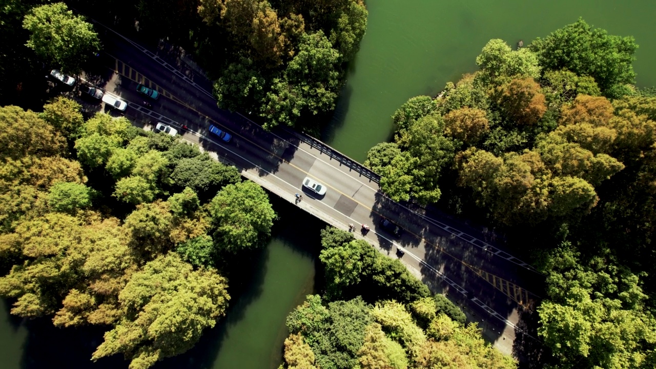通过湖泊和树木区域的道路鸟瞰图