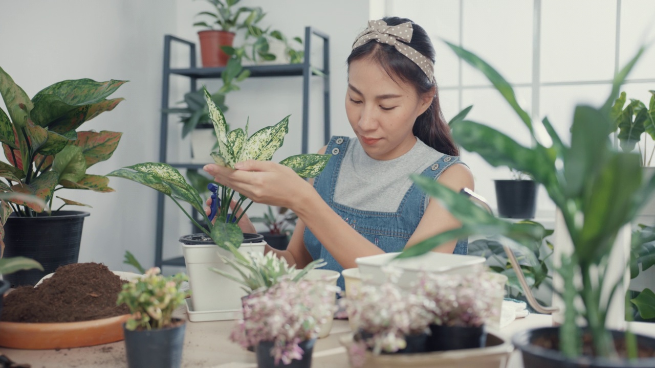 年轻的亚洲妇女在家里照顾水盆栽早上。