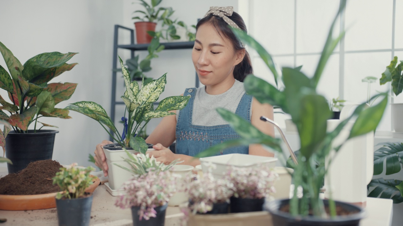 详情图-年轻的亚洲妇女在家里照顾水盆栽早上。