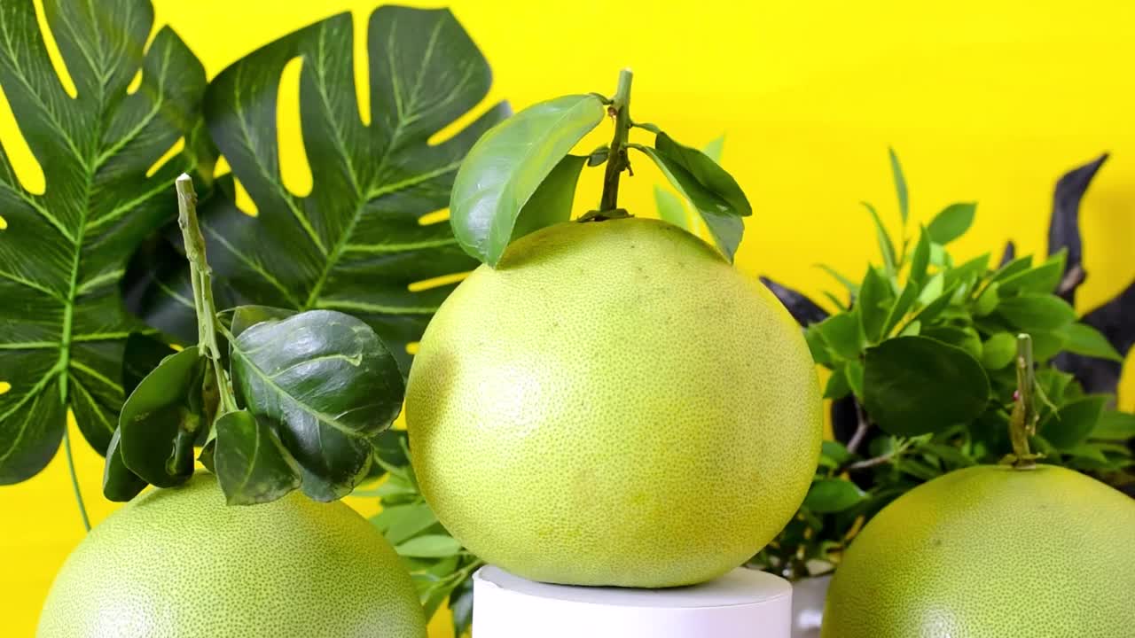 葡萄柚