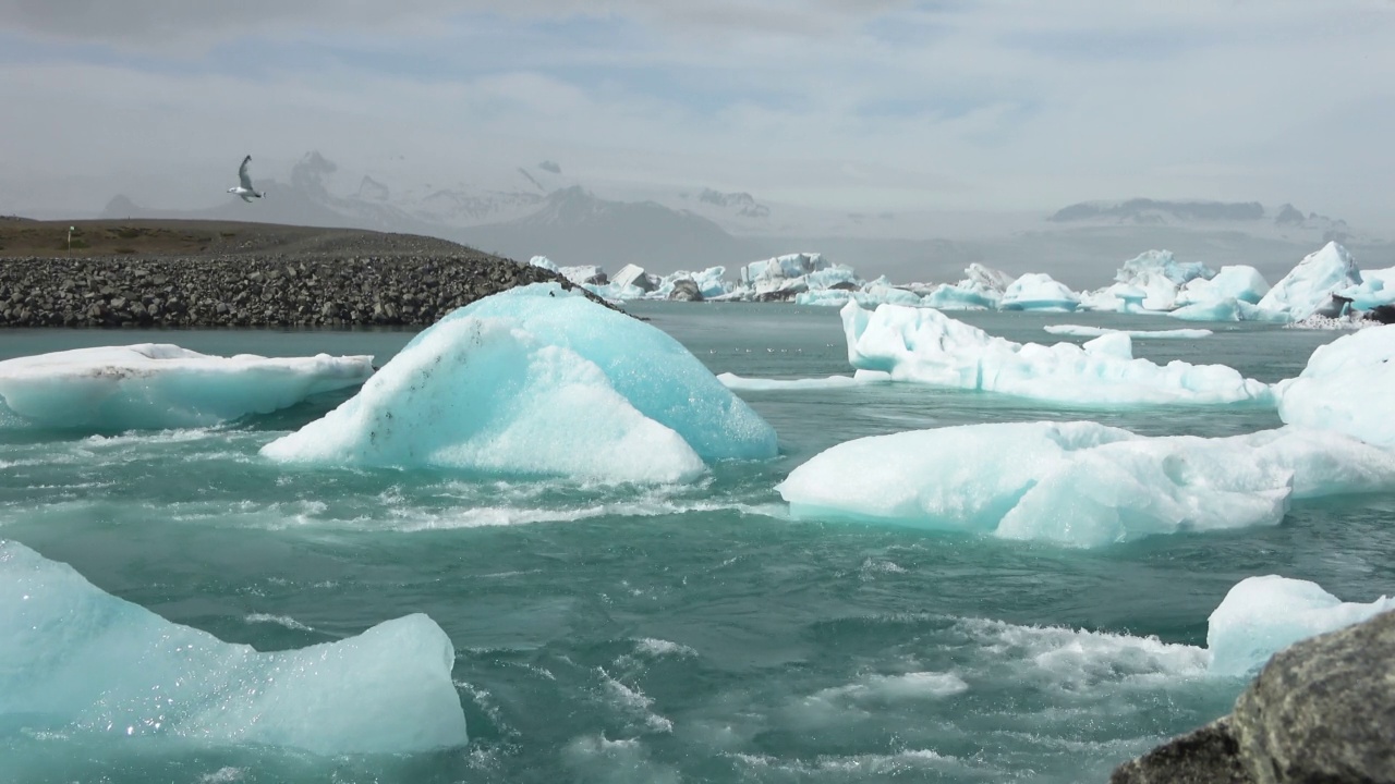 冰岛，Jokulsarlon泻湖，蓝绿色的冰山漂浮在冰岛的冰川泻湖。