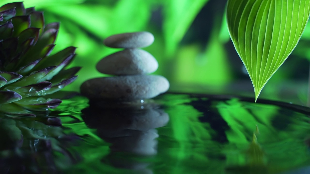 詳情圖-概念:放松，健康，身體護(hù)理，水療，香薰。大型多肉植物和石頭倒映在水中。水滴落入水中。慢動(dòng)作