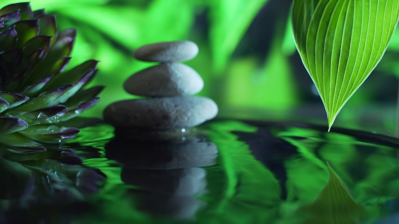 詳情圖-概念:放松，健康，身體護(hù)理，水療，香薰。大型多肉植物和石頭倒映在水中。水滴落入水中。慢動(dòng)作