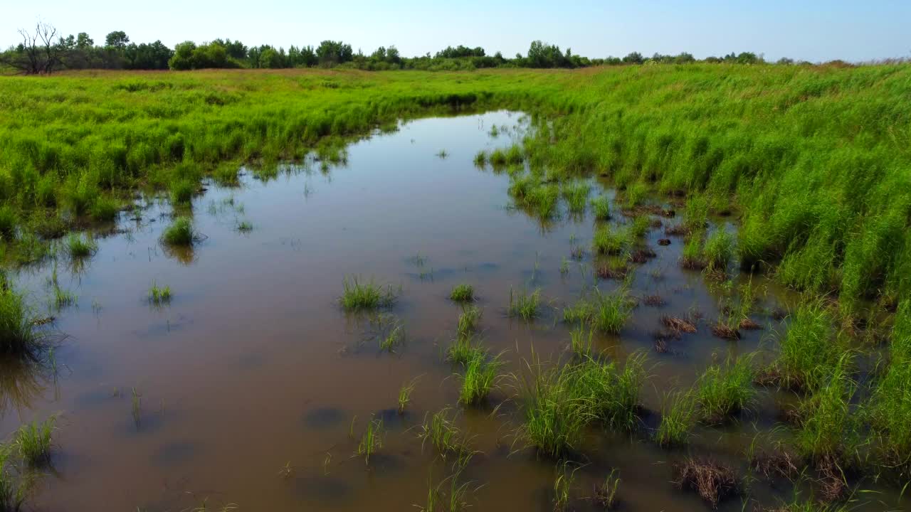 带有小山丘的沼泽地形。