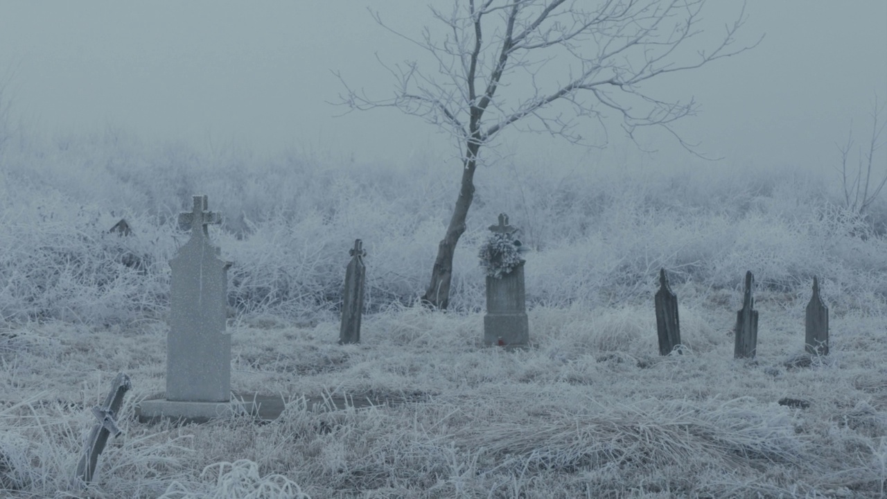 冬雪中的老墓地