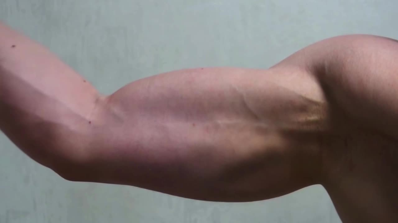 健美运动员弯曲手臂上的二头肌，显示出强壮的肌肉。运动和身体的概念。