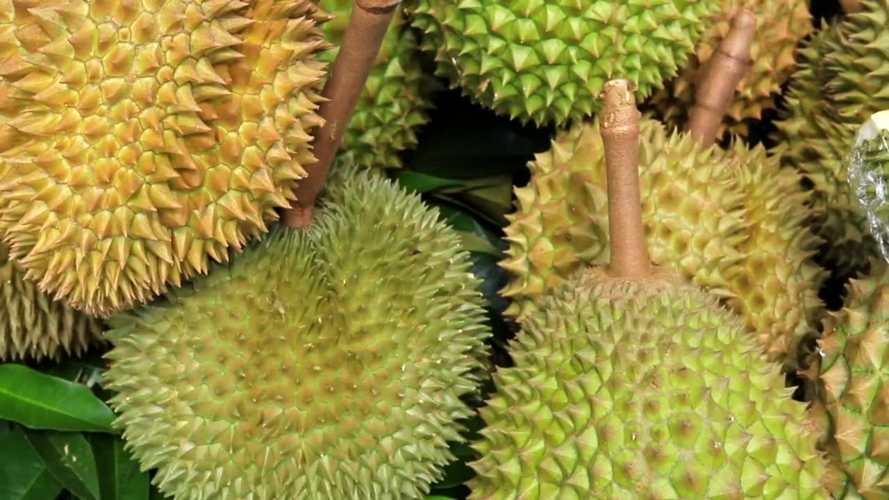 榴莲果