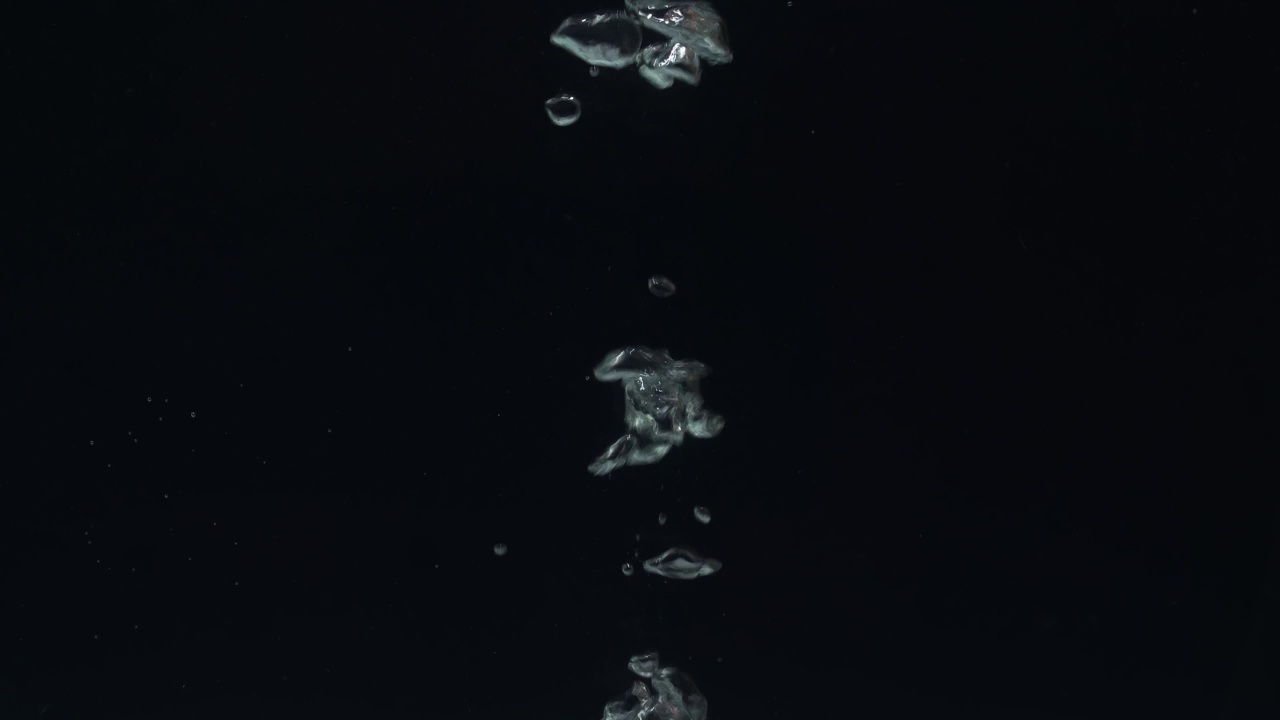 水泡在白色背景中上升