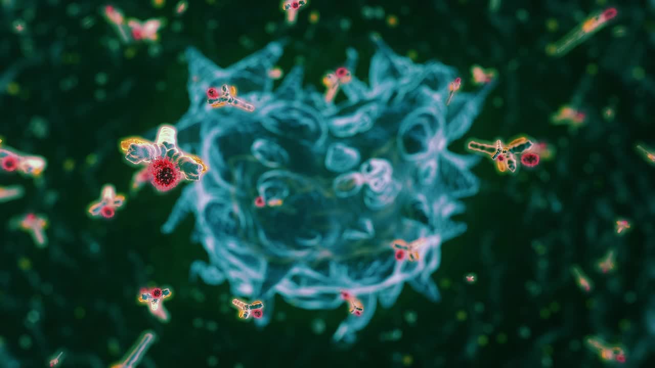 淋巴细胞