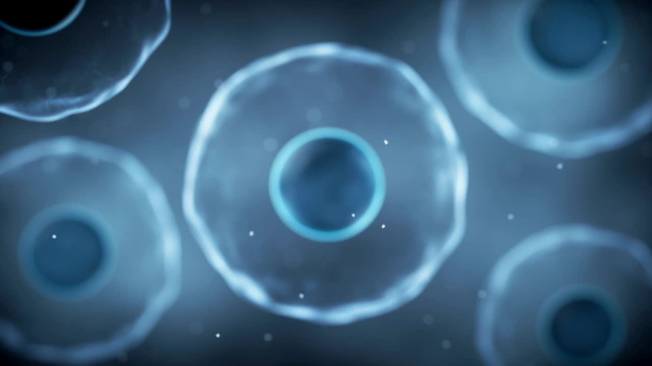 生物细胞用薄膜，3d渲染。