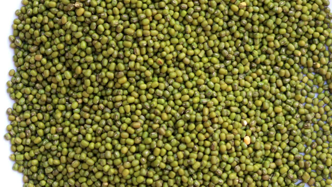人类的手拿着绿豆或青豆