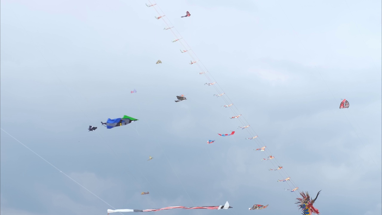 在空中放着五颜六色的龙形风筝