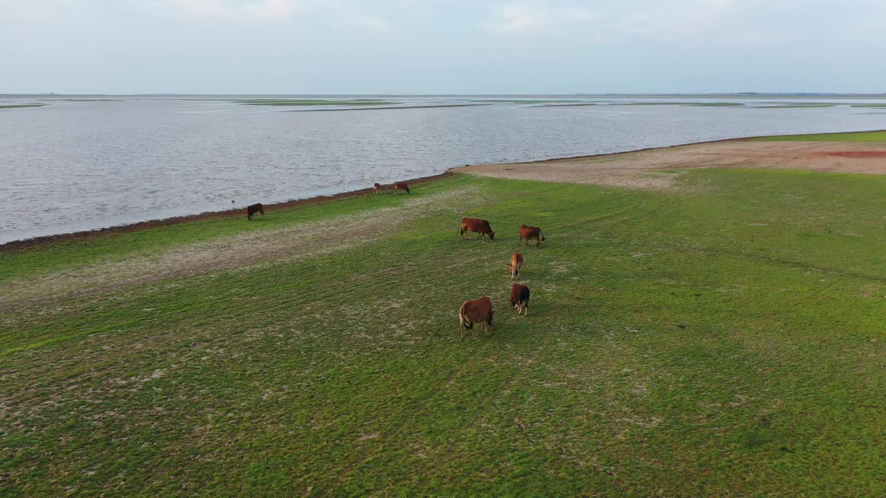 鄱阳湖景观，江西，中国
