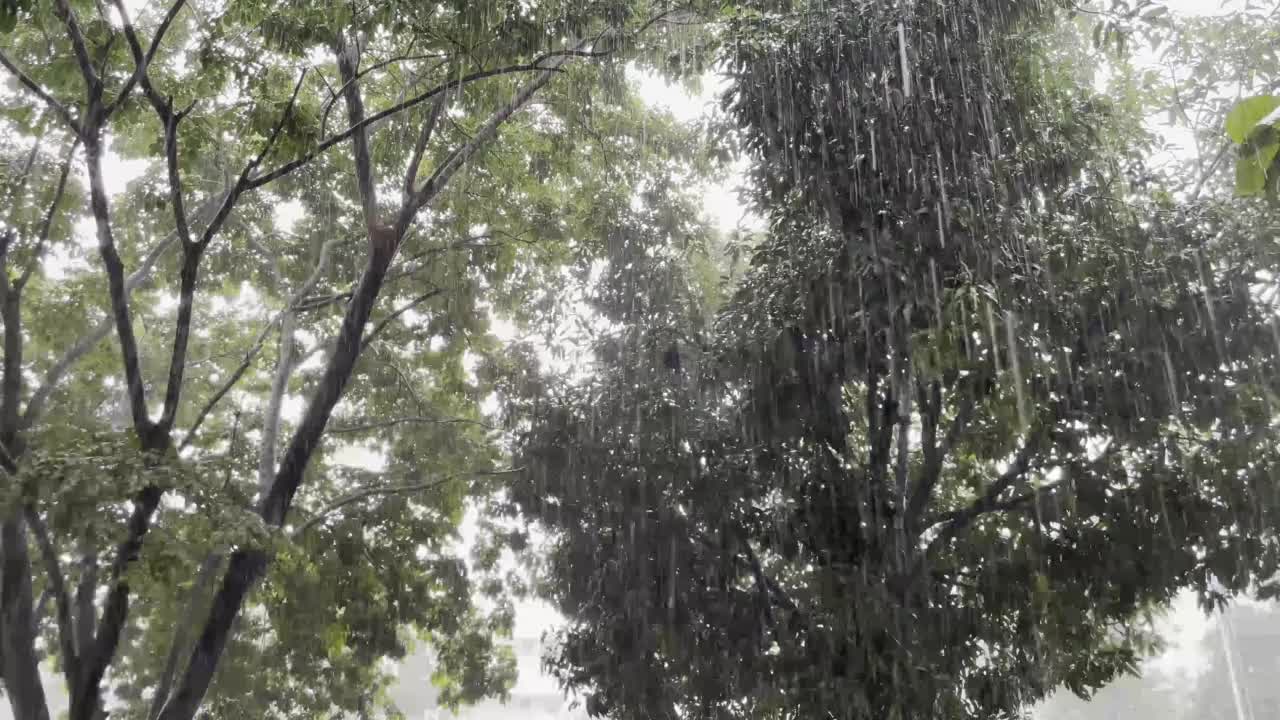 今天是第一天下暴雨。
