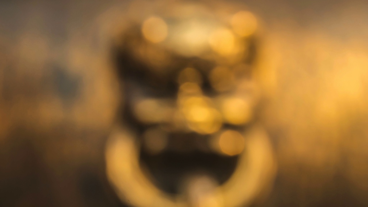 详情图-中国元素:中国北京紫禁城的金色动物雕像。