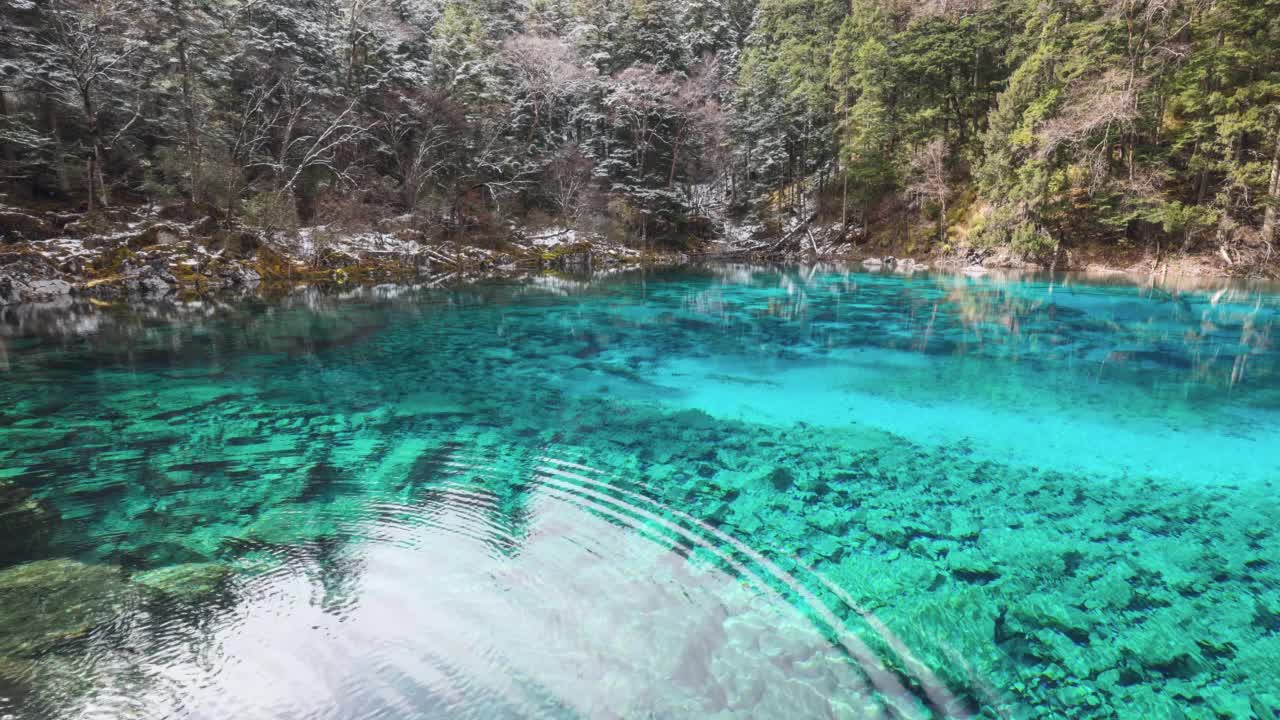 九寨沟的湖泊呈现出令人难以置信的蓝色