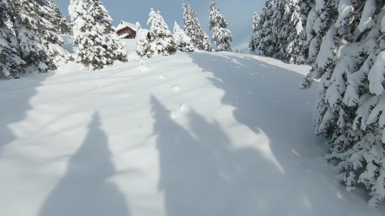 FPV无人机:在白色空地和木屋之间，壮丽的白雪覆盖的云杉