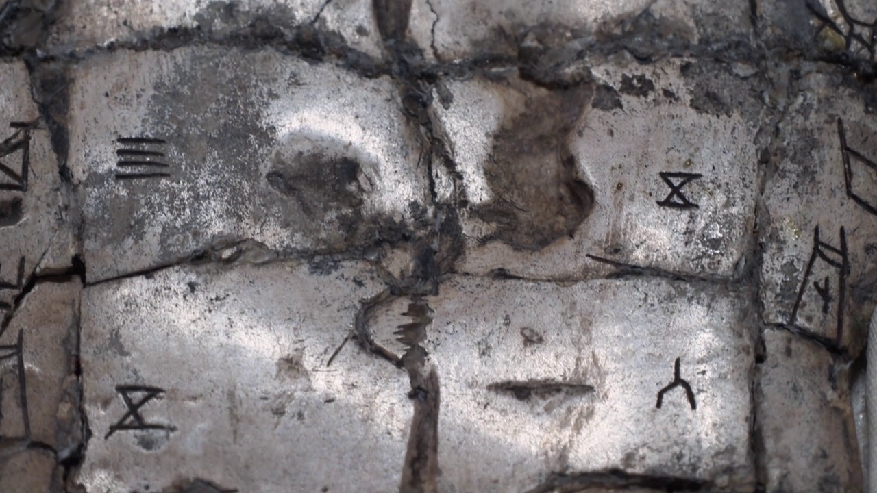 中国古代甲骨文