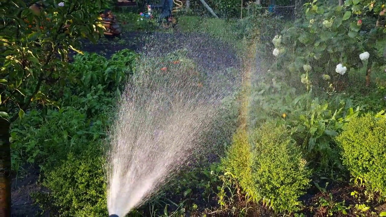 用水管给花园的花浇水