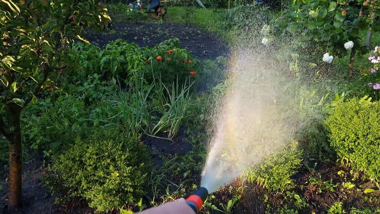 详情图-用水管给花园的花浇水