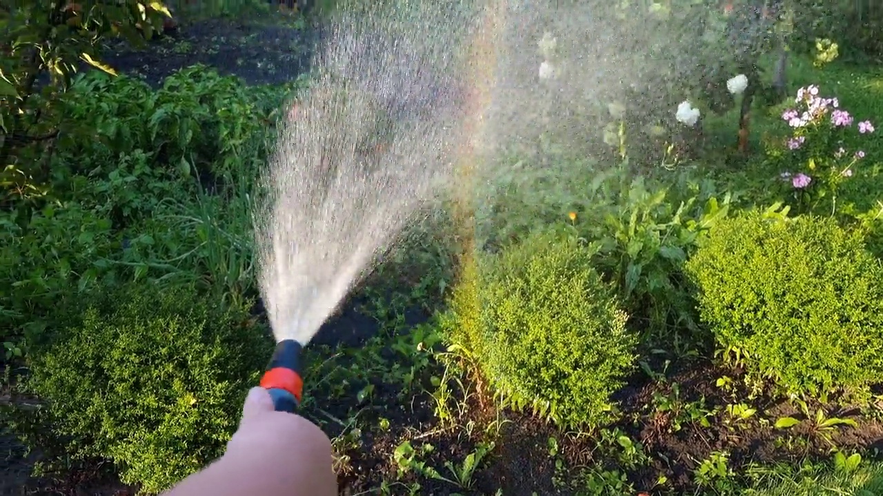 详情图-用水管给花园的花浇水