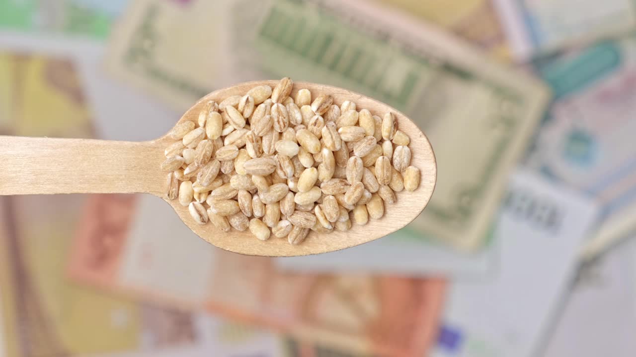 小麦价格背景。粮食危机。谷物价格上涨。食品成本概念。农业产业增长。木勺与小麦在纸币背景旋转。农业、贸易。大麦。