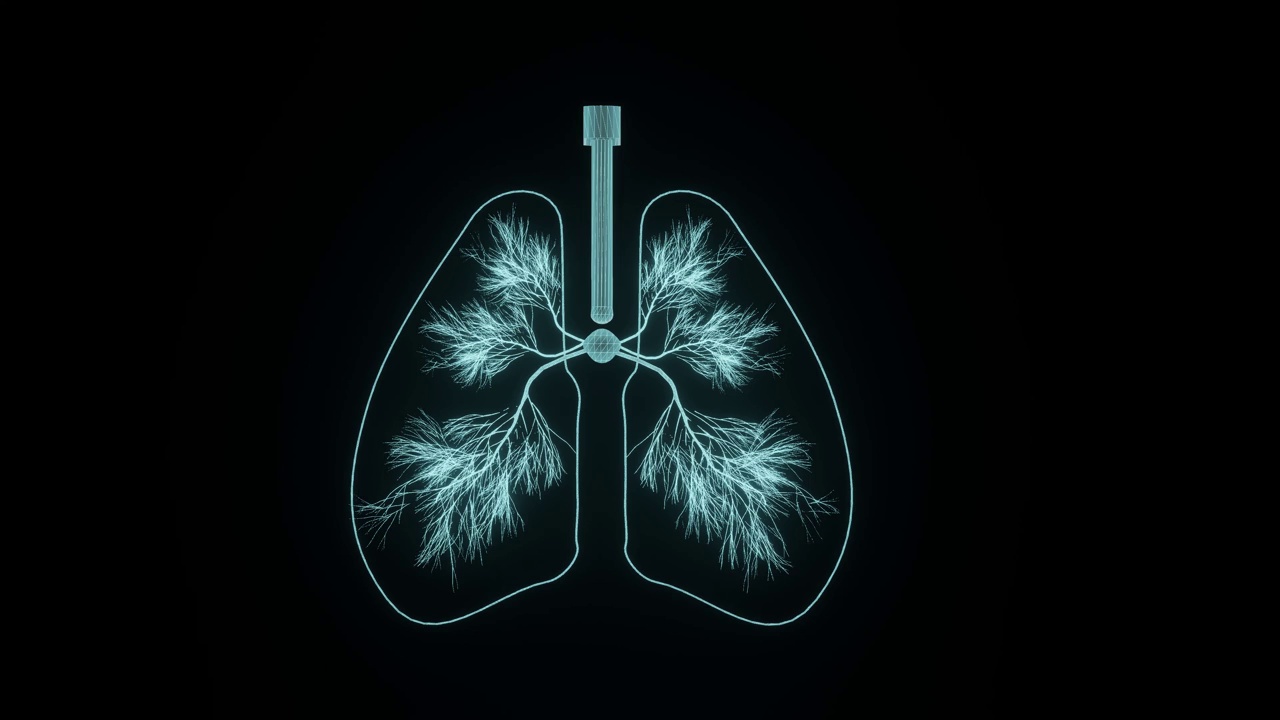 全息3D肺概念用于先进的肺部疾病诊断和肺癌的个性化治疗