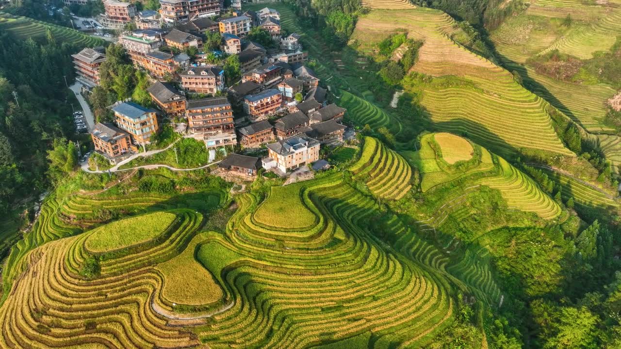 詳情圖-秋天的金色梯田在溫柔的陽光下層層疊疊