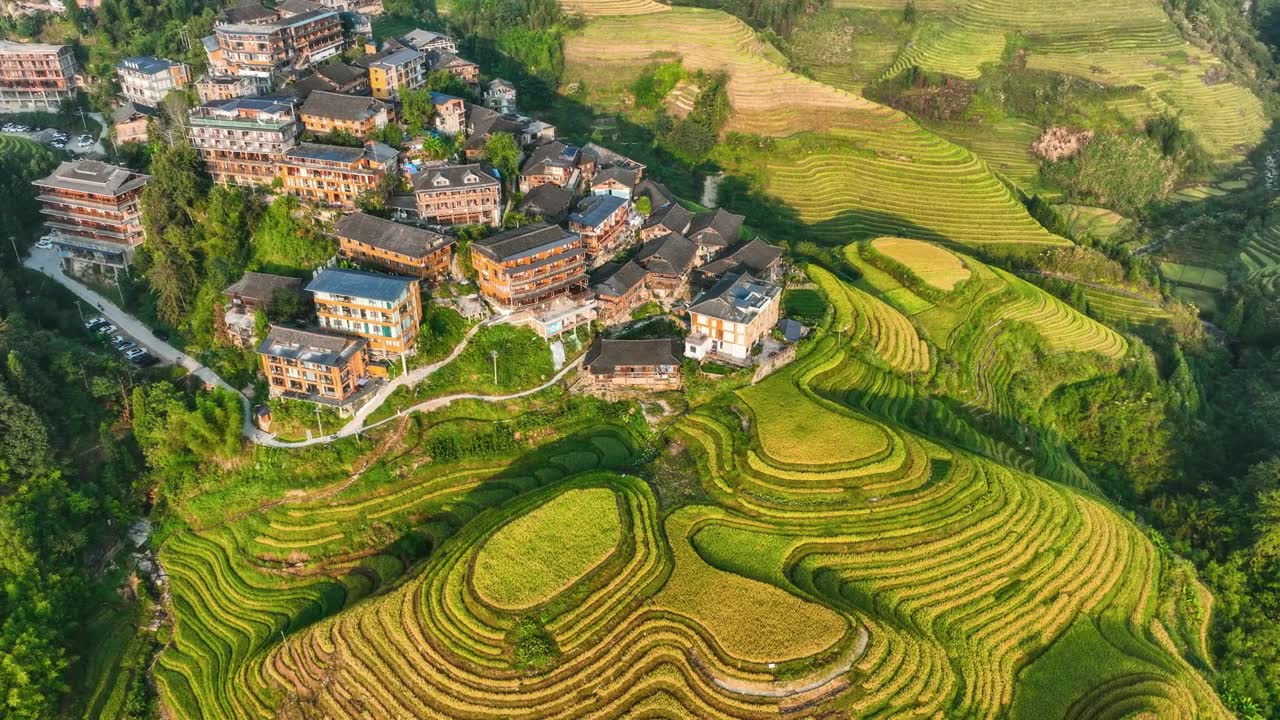 詳情圖-秋天的金色梯田在溫柔的陽光下層層疊疊