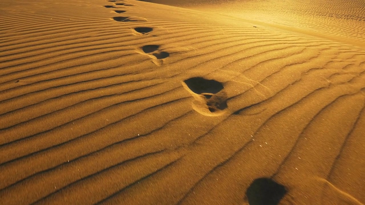 详情图-摄像机追踪大沙丘上的脚印。温暖的夕阳下，沙漠里沙滩上的脚印。UHD,4,k