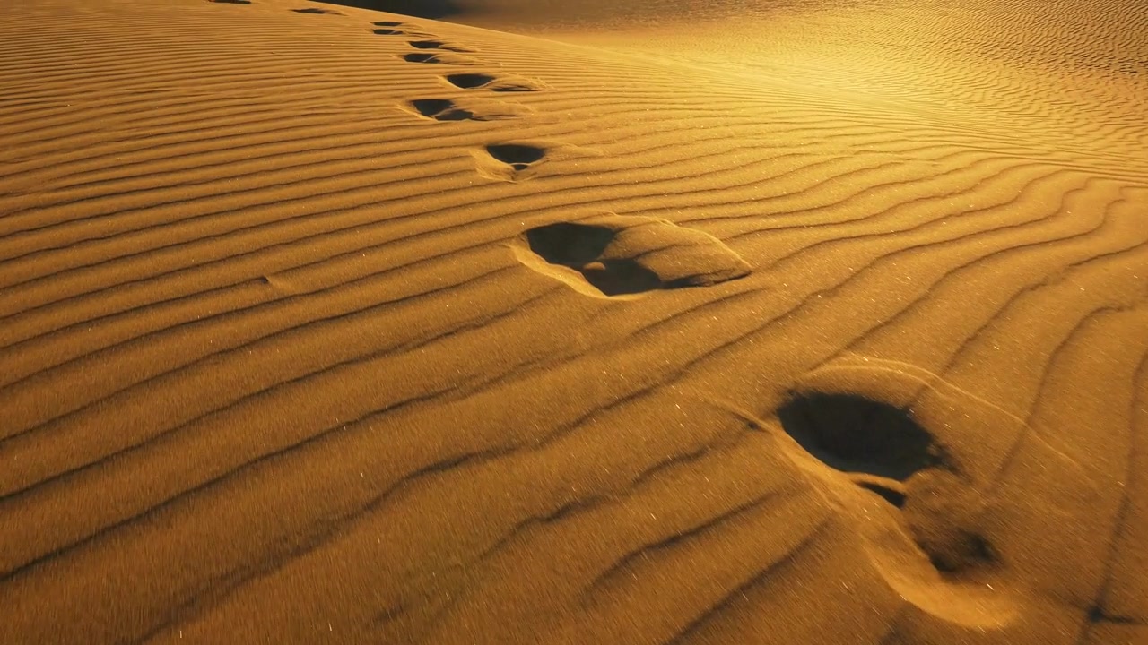 详情图-摄像机追踪大沙丘上的脚印。温暖的夕阳下，沙漠里沙滩上的脚印。UHD,4,k