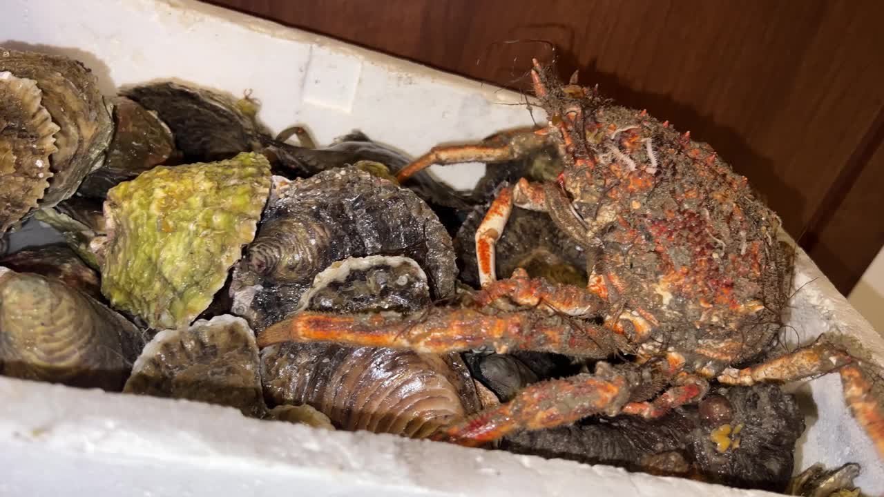 海洋的水生动物生活在容器里