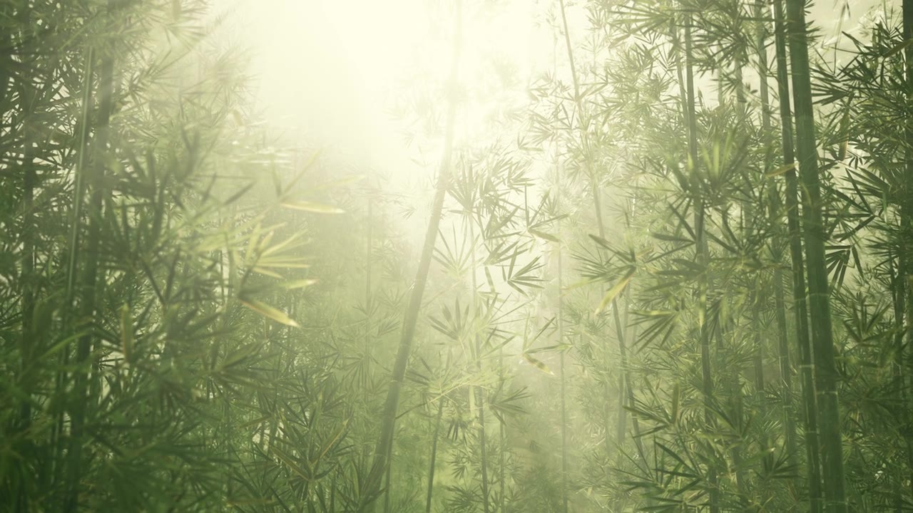 詳情圖-綠色的竹子在霧中有莖和葉