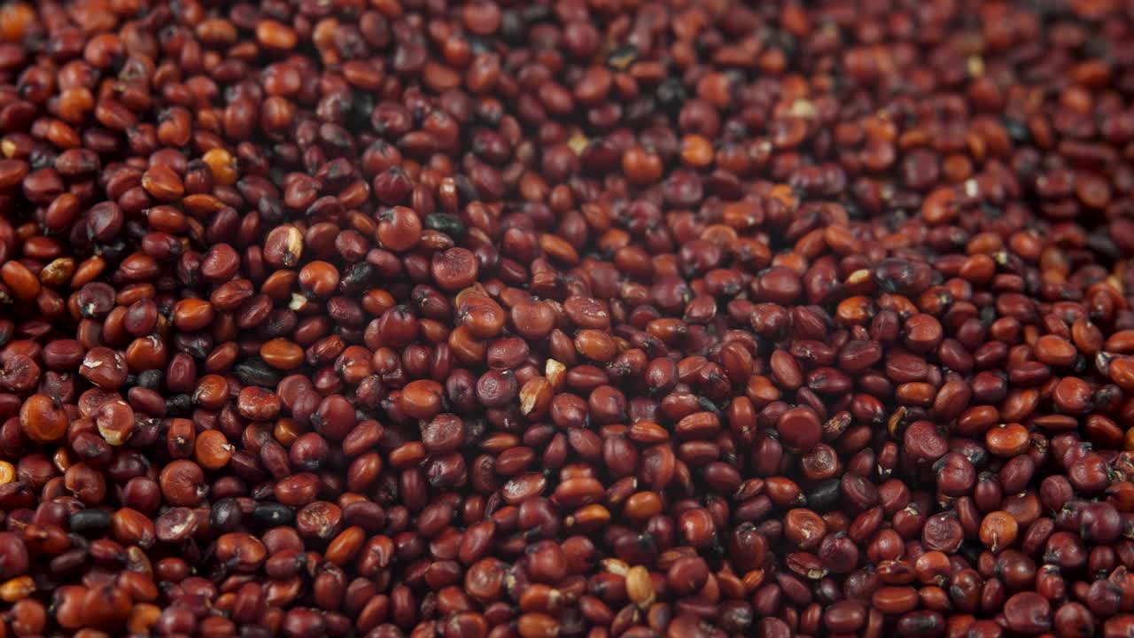堆红色藜麦种子旋转背景与坠落的种子从上面。素食的健康沙拉和粥。有机藜麦侧视图和纹理背景