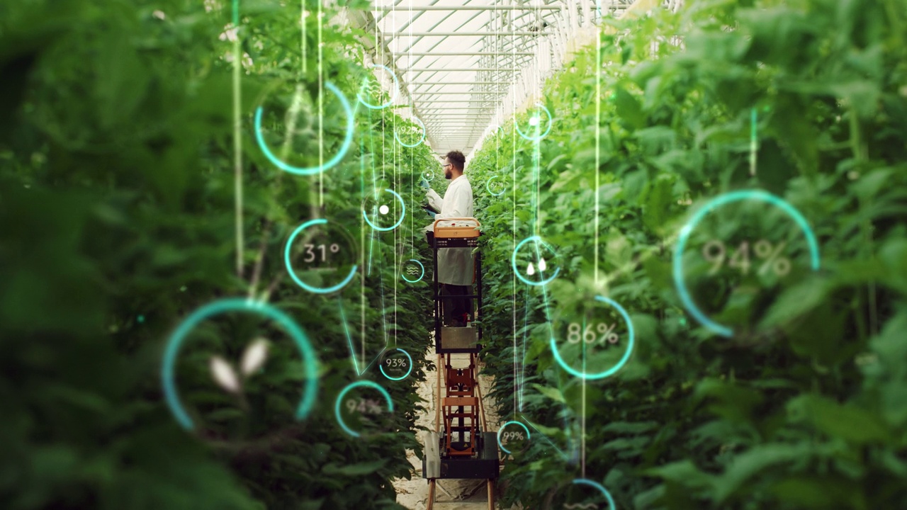 详情图-专业男性生物工程师检查现代垂直农场作物生长进展。带着平板电脑的人在高科技温室里种植有机食物或植物。视觉特效信息图动画