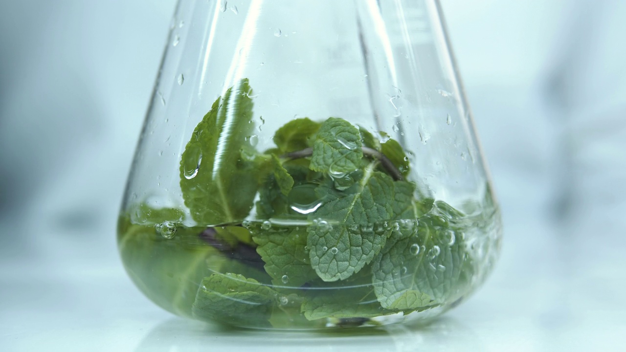 詳情圖-在實驗室的玻璃燒瓶中種植植物。