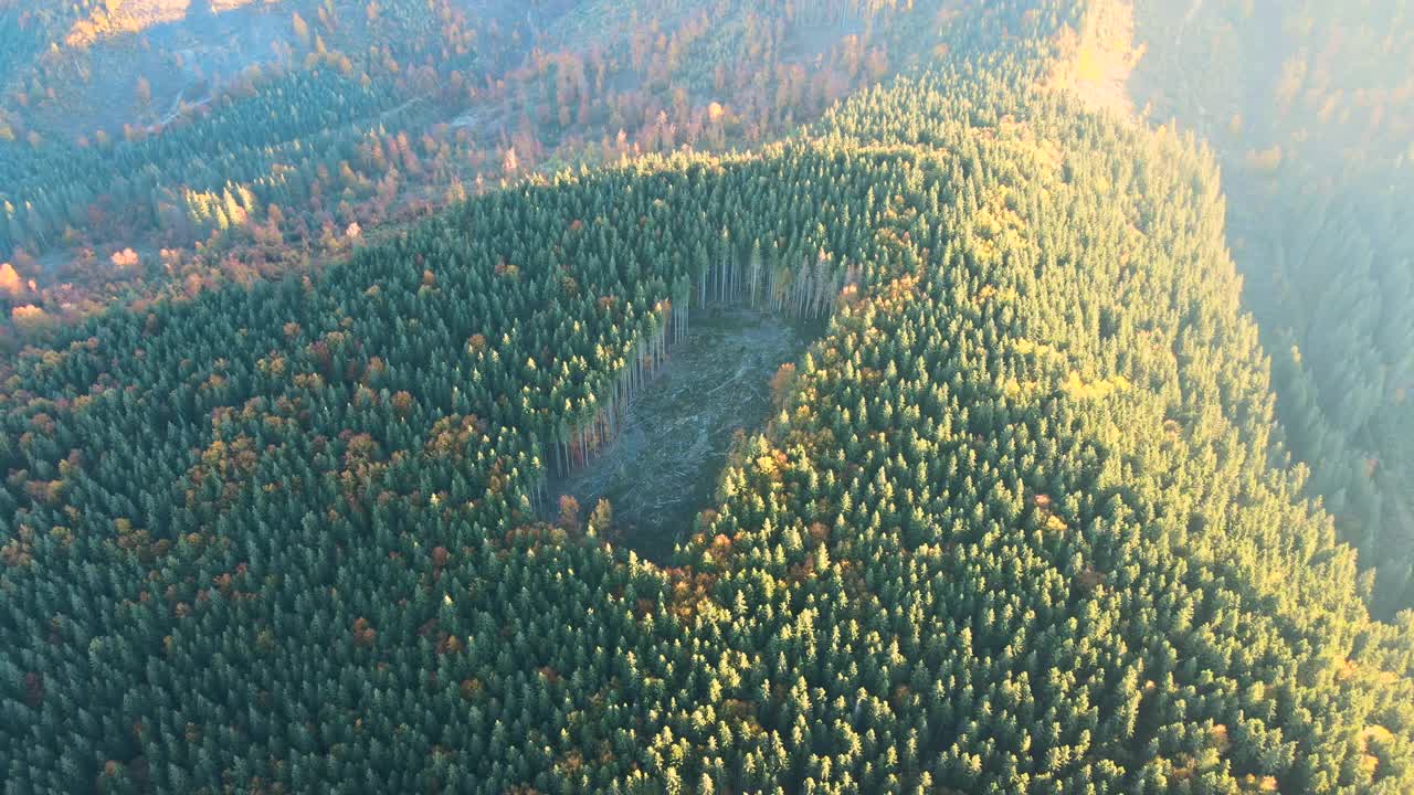 由于砍伐森林松树，黑暗的小山被裸露的斑块所覆盖的鸟瞰图。秋天日出时的森林砍伐过程。美丽的野生森林受到威胁