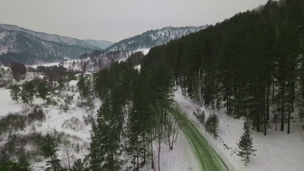 绿色道路覆盖着冷杉树针建立在斜坡上