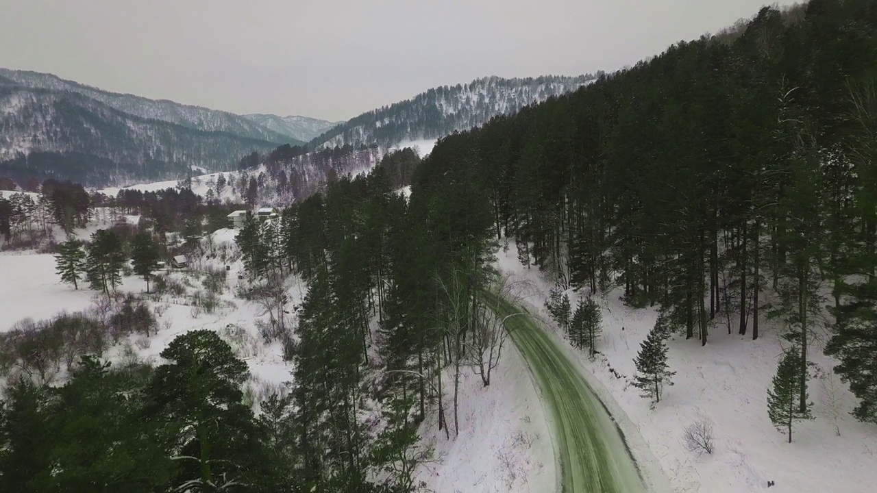 道路在雪坡上茂密的针叶林中延伸