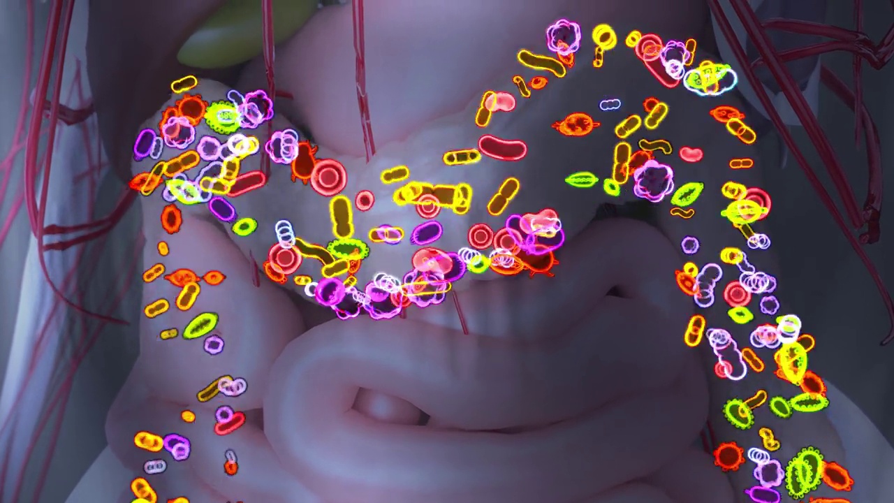 肠道微生物群的4K抽象动画