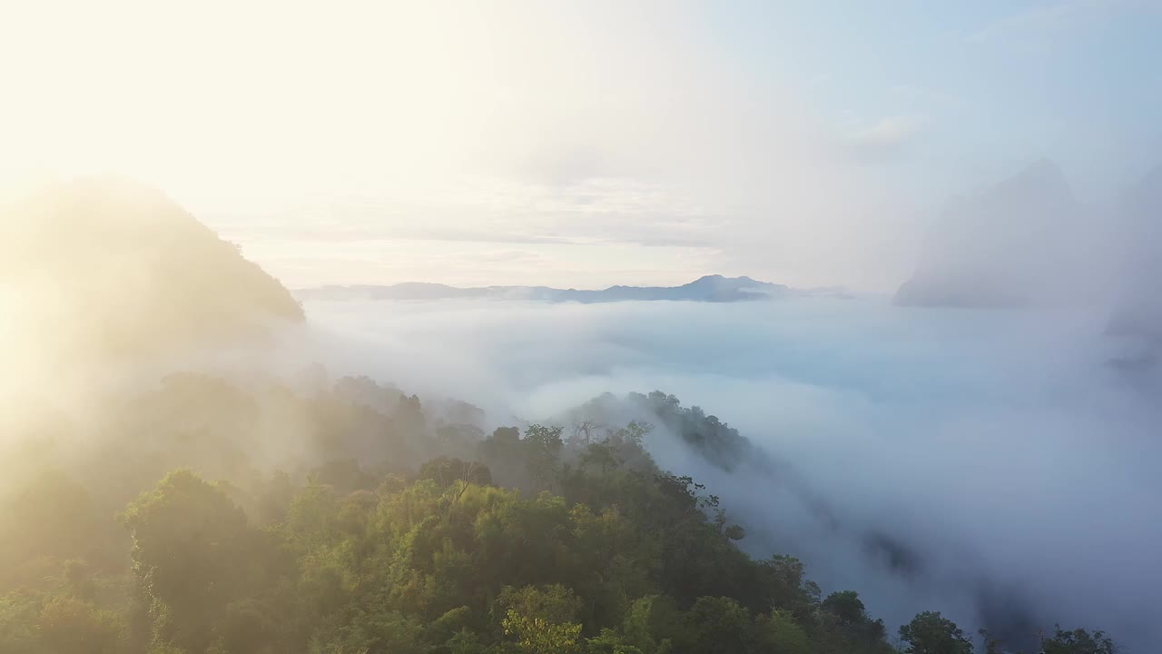 鸟瞰热带山脉和雨林景观在清晨的薄雾