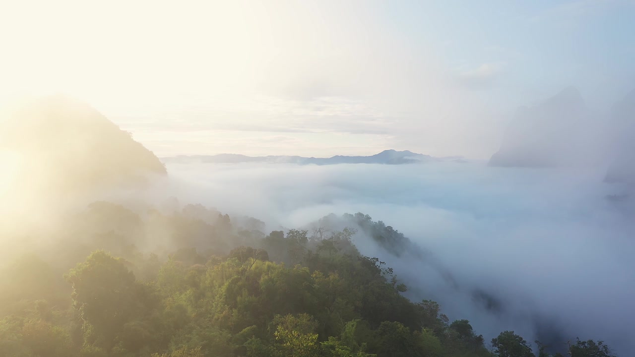 详情图-鸟瞰热带山脉和雨林景观在清晨的薄雾