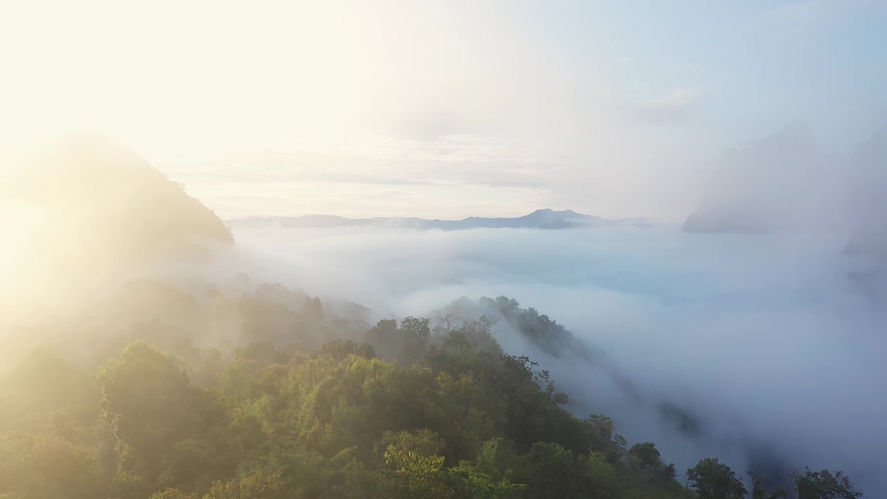 详情图-鸟瞰热带山脉和雨林景观在清晨的薄雾