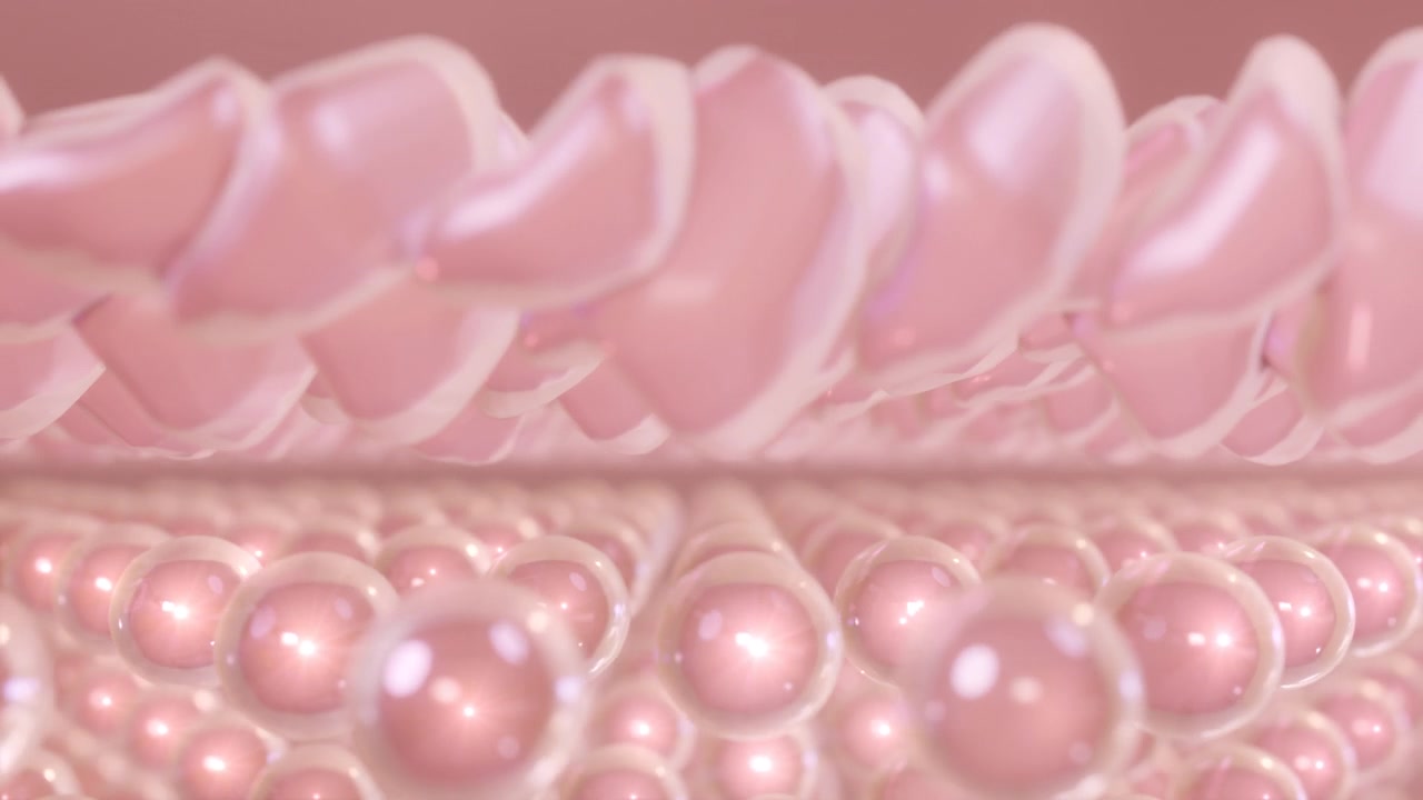 详情图-皮肤细胞三维动画，紧致松弛肌肤。