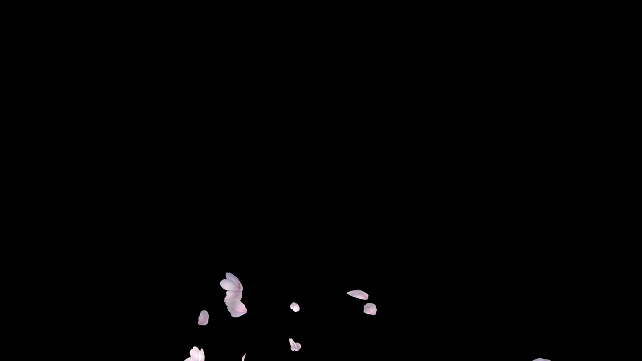 詳情圖-櫻花大爆炸