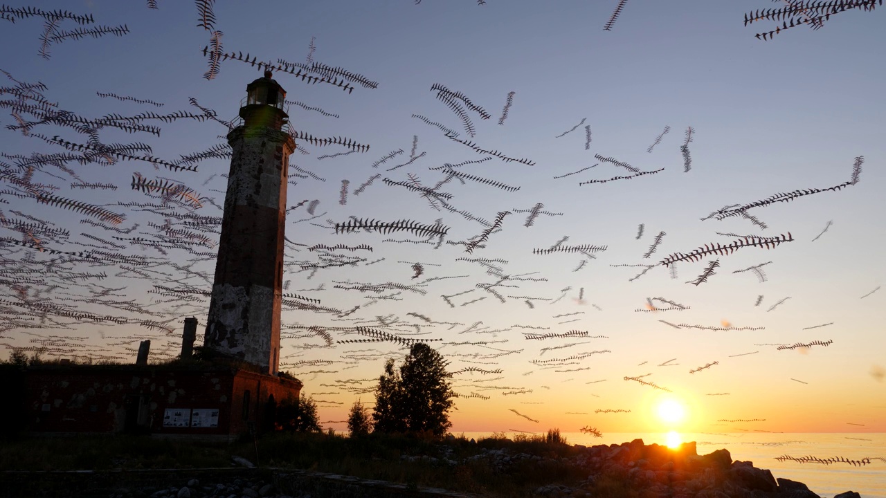 夕阳西下，许多海鸥在古老的灯塔上空盘旋，画面就像在噩梦中
