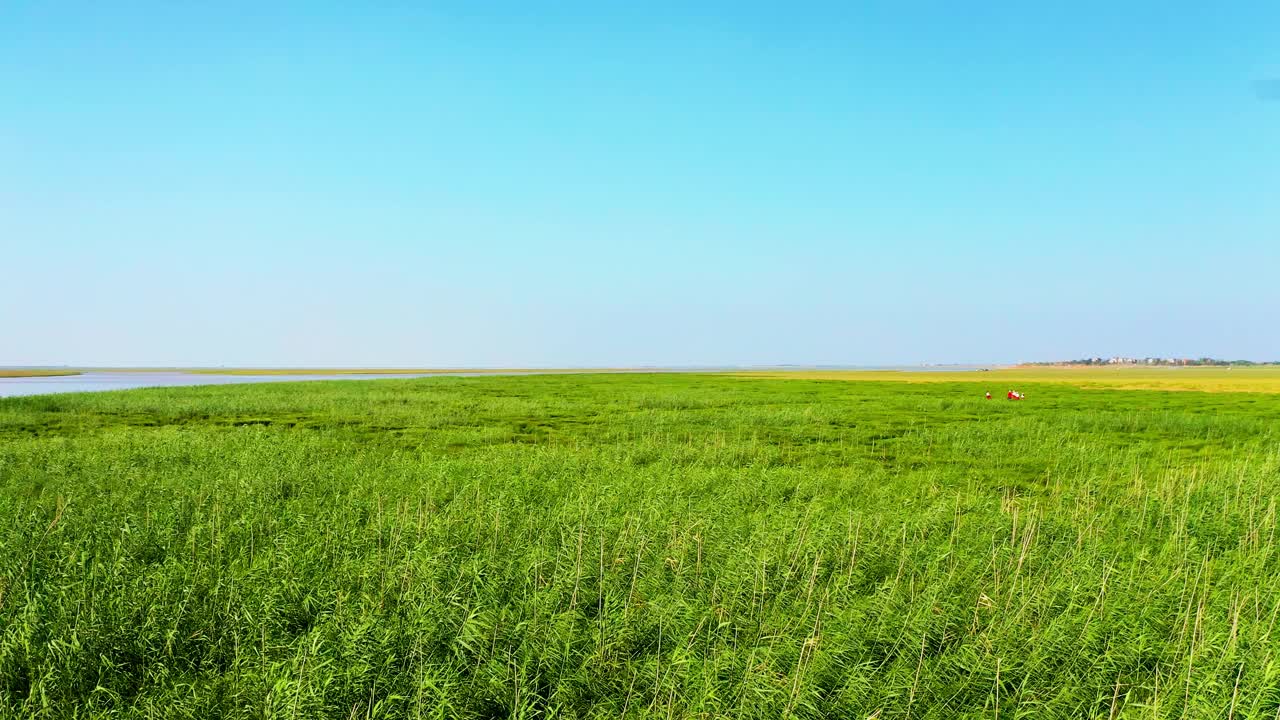 鄱阳湖湿地草原航拍